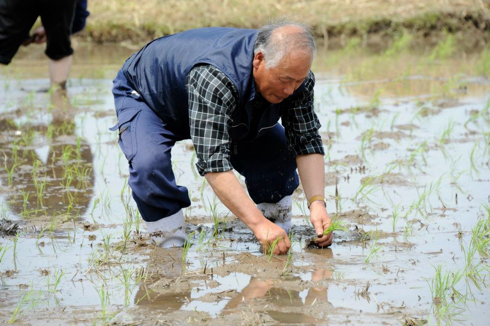 鳥取県産 コシヒカリ 三上惇二 1.8kg