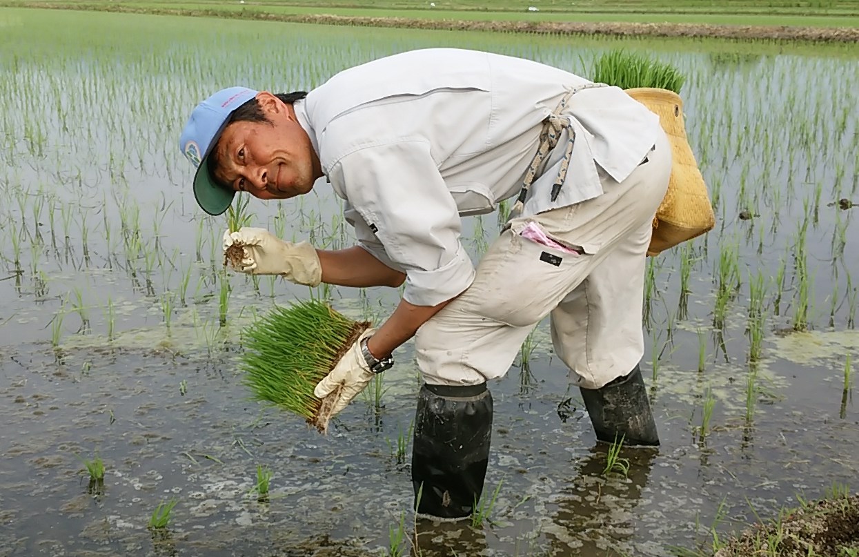 山形県産 ミルキークイーン 安部平左エ門 1.8kg