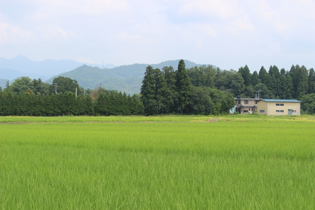 山形県産 ミルキークイーン 安部平左エ門 1.8kg