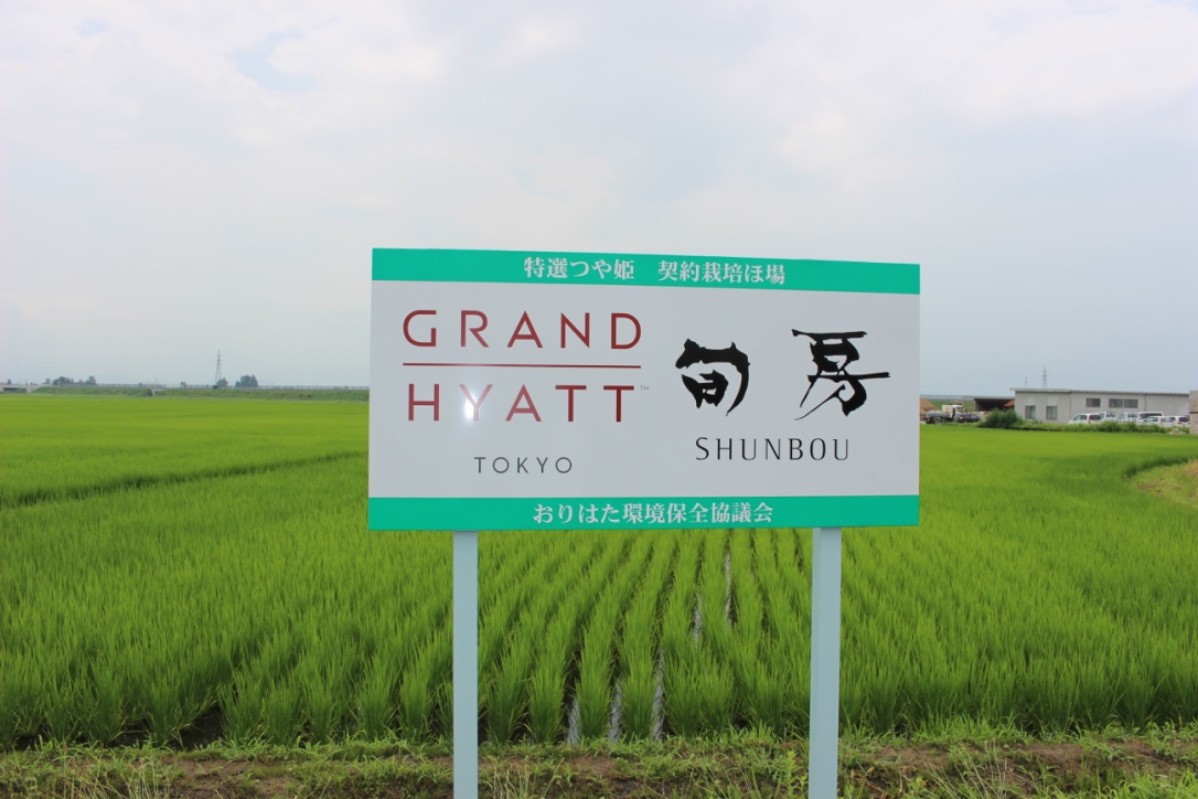 山形県産 夢ごこち 黒澤信彦 1.8kg